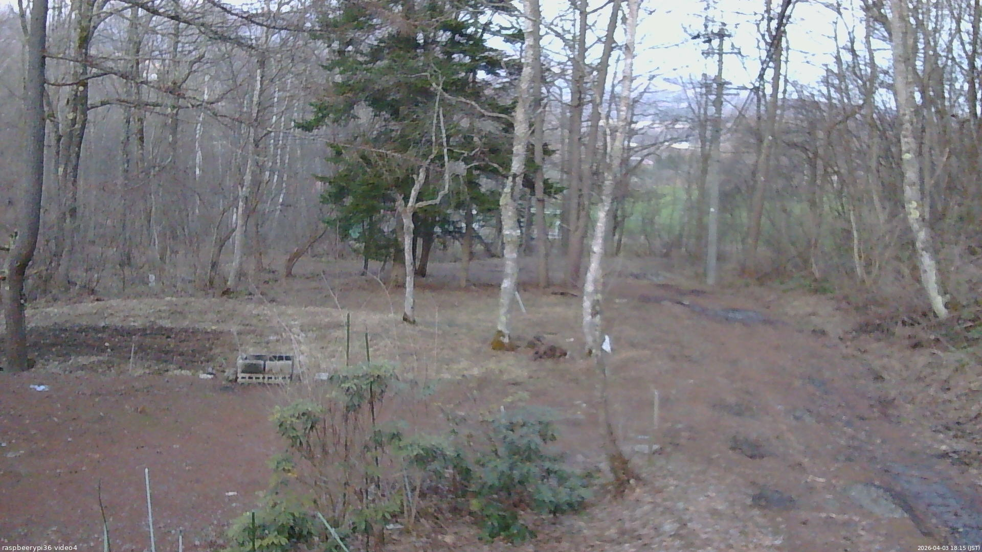 長野県菅平高原 ゆたか山荘 坂上 2026/04/03 18:15