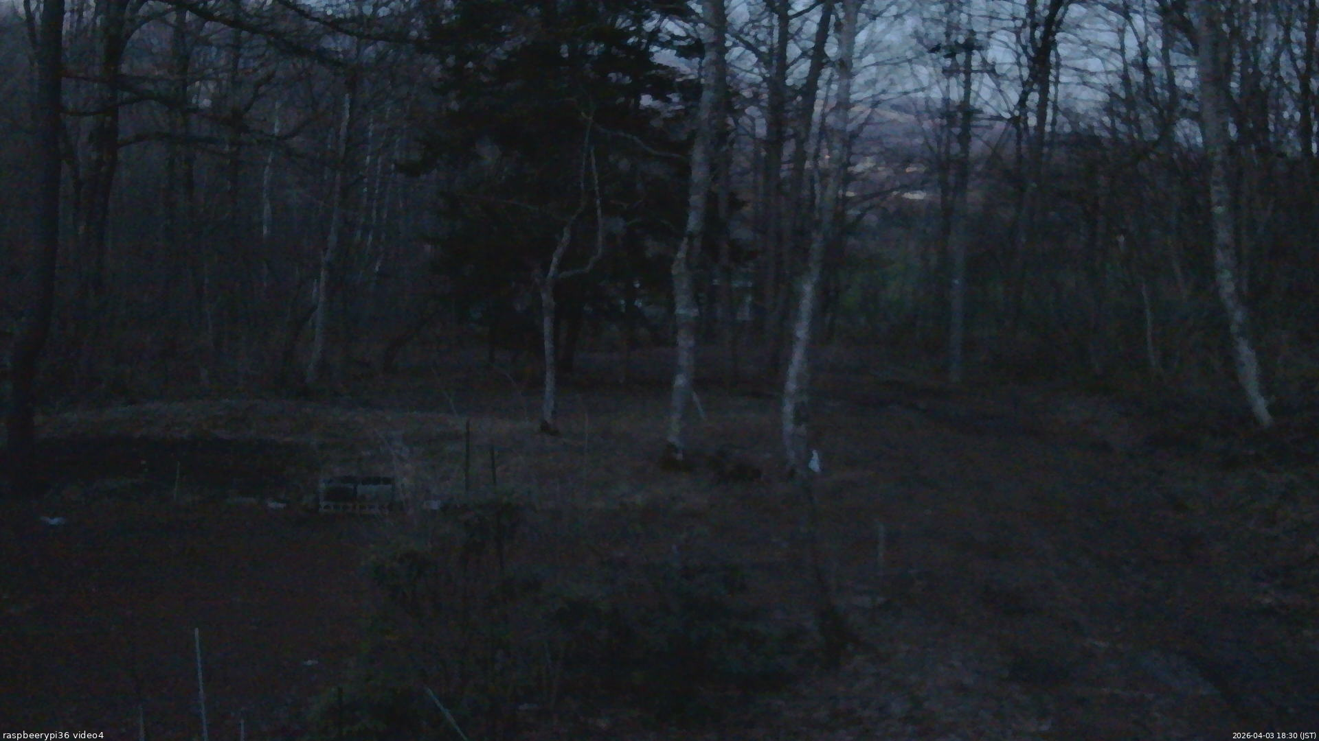 長野県菅平高原 ゆたか山荘 坂上 2026/04/03 18:30