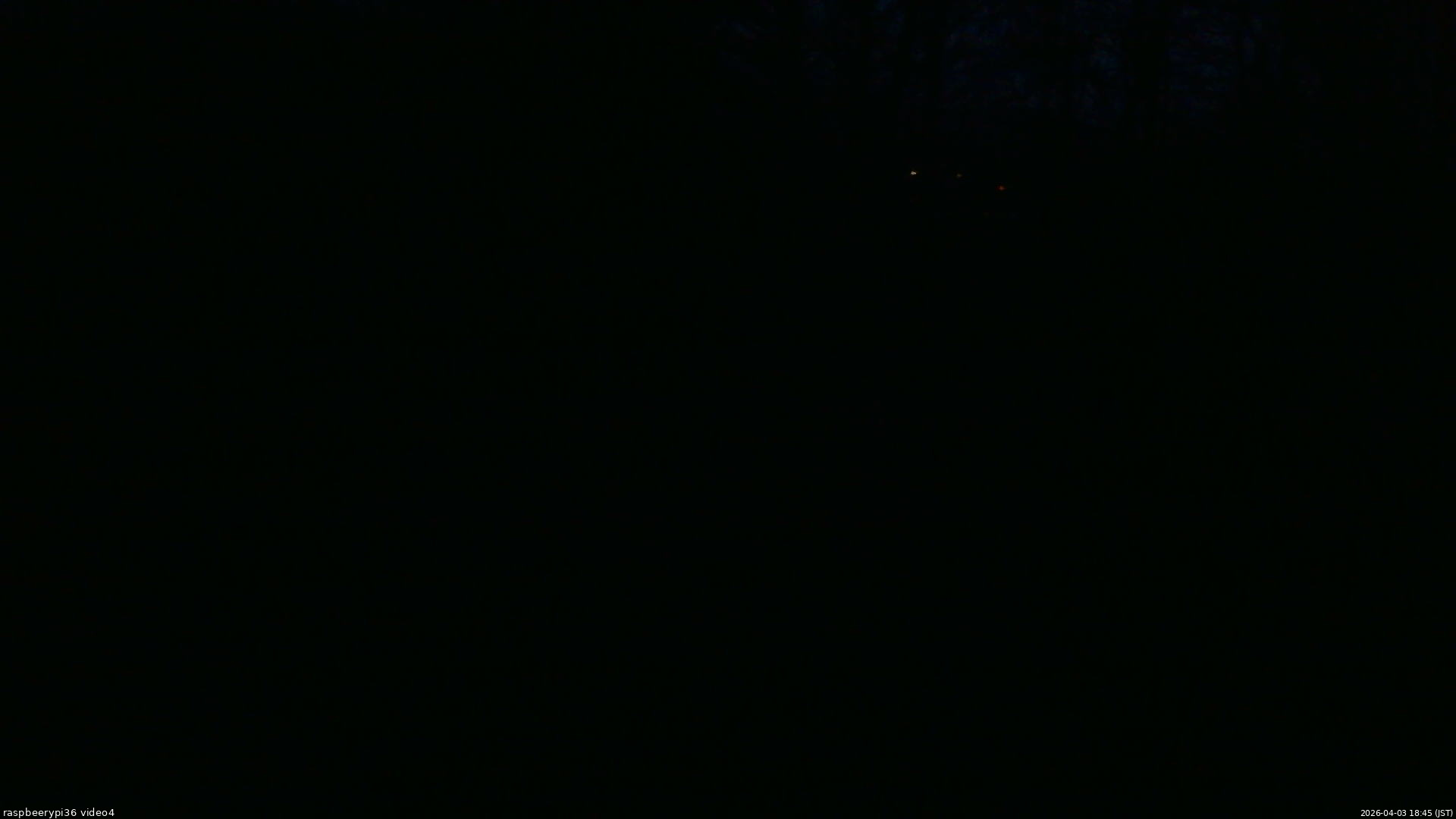 長野県菅平高原 ゆたか山荘 坂上 2026/04/03 18:45