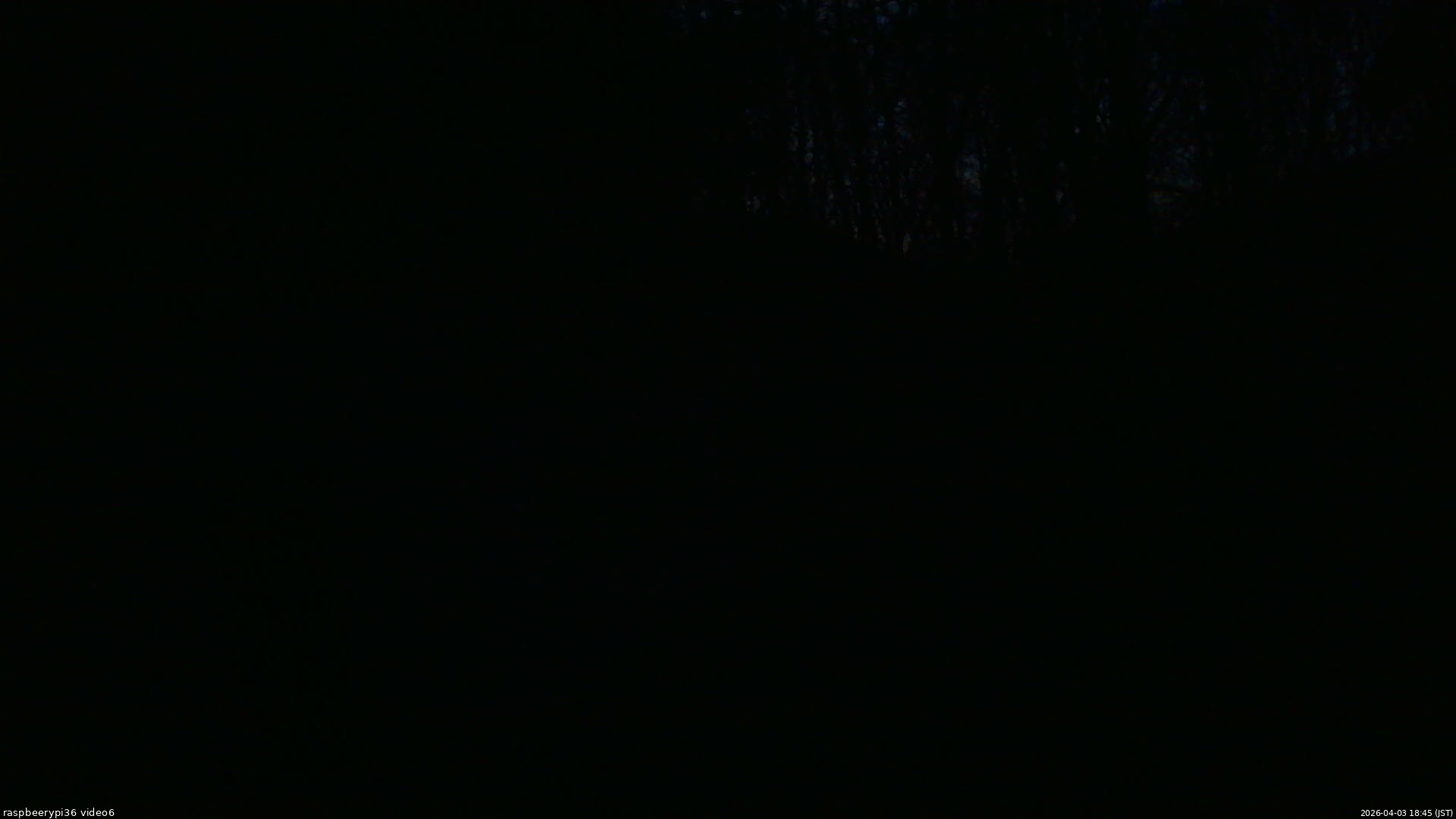 長野県菅平高原 ゆたか山荘 坂下 2026/04/03 18:45