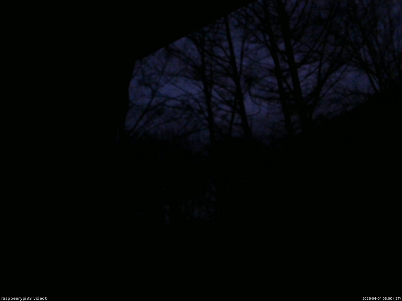 長野県菅平高原 ゆたか山荘 北側 2026/04/04 05:00