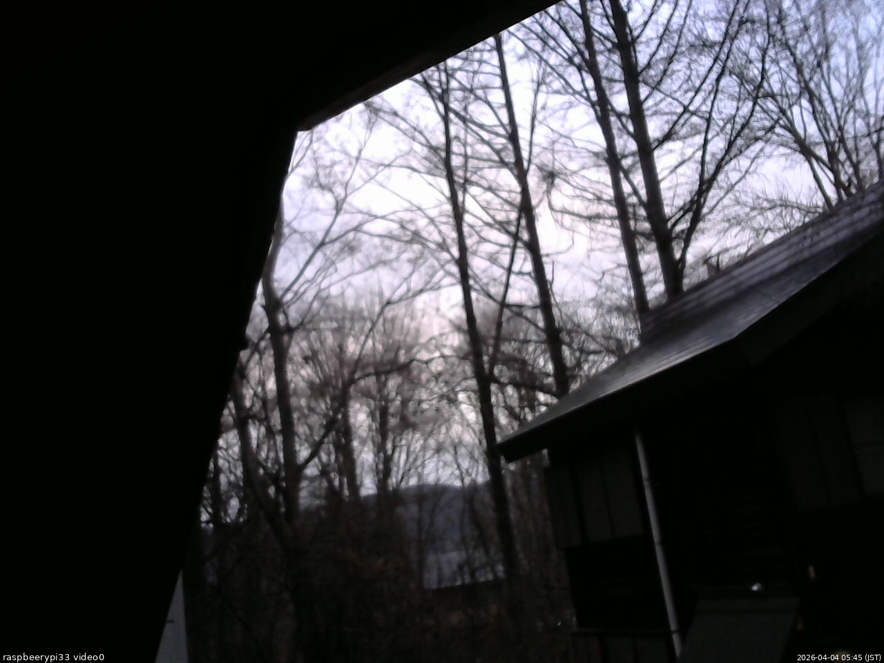 長野県菅平高原 ゆたか山荘 北側 2026/04/04 05:45