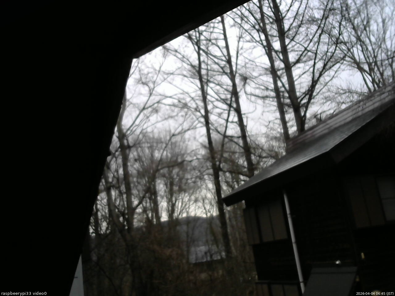 長野県菅平高原 ゆたか山荘 北側 2026/04/04 06:45