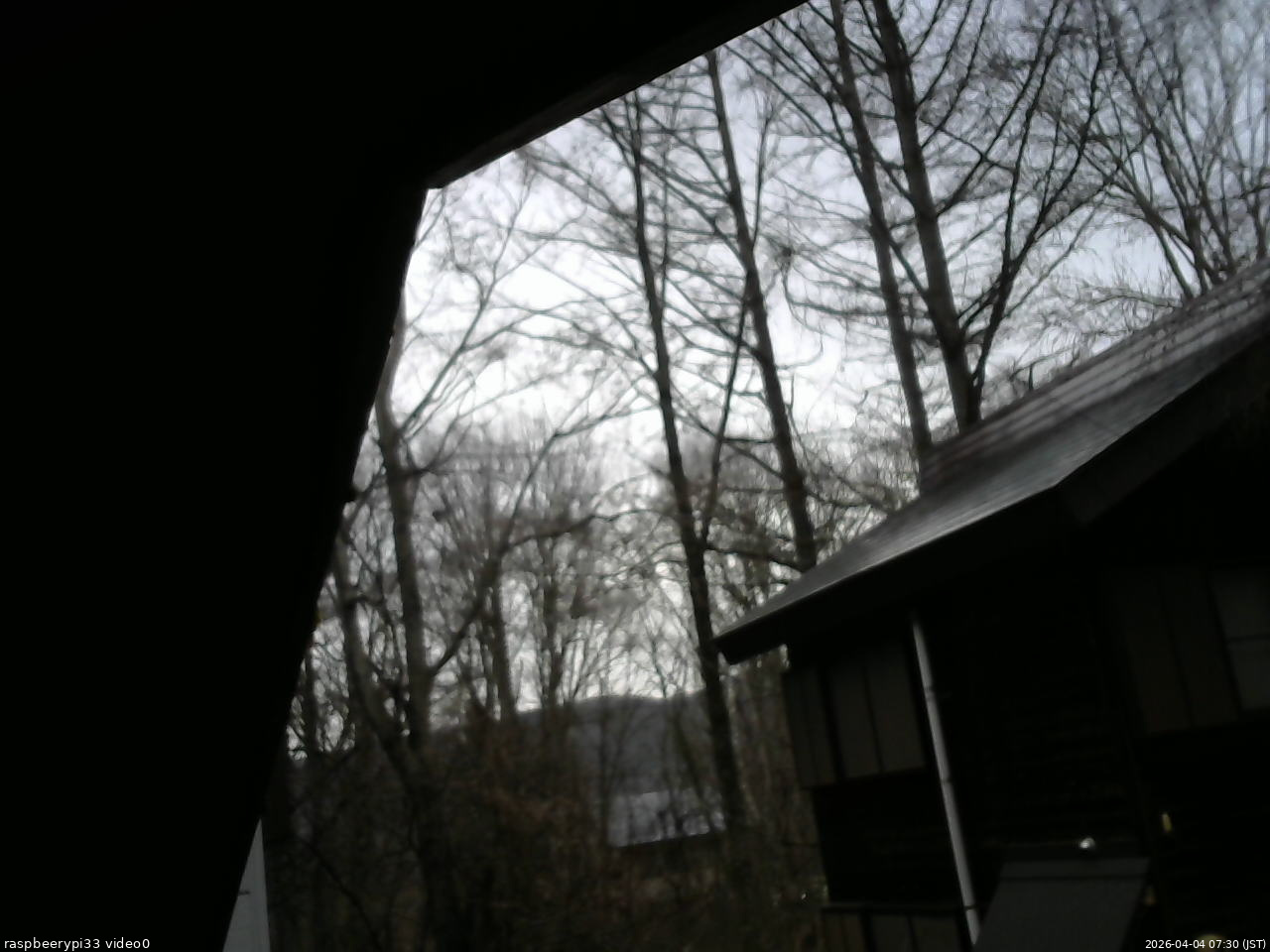 長野県菅平高原 ゆたか山荘 北側 2026/04/04 07:30