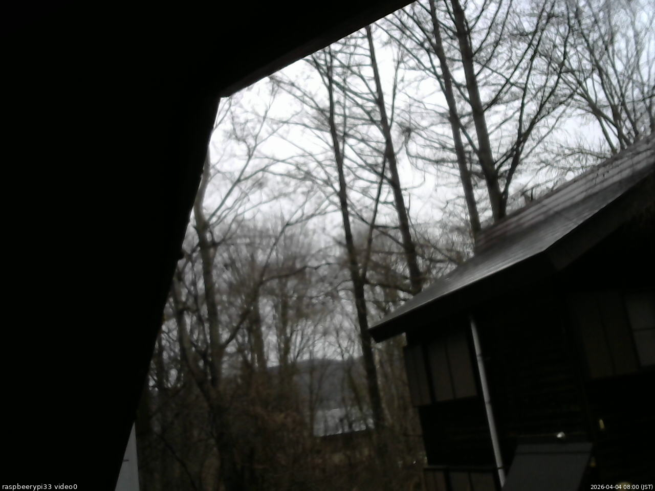 長野県菅平高原 ゆたか山荘 北側 2026/04/04 08:00