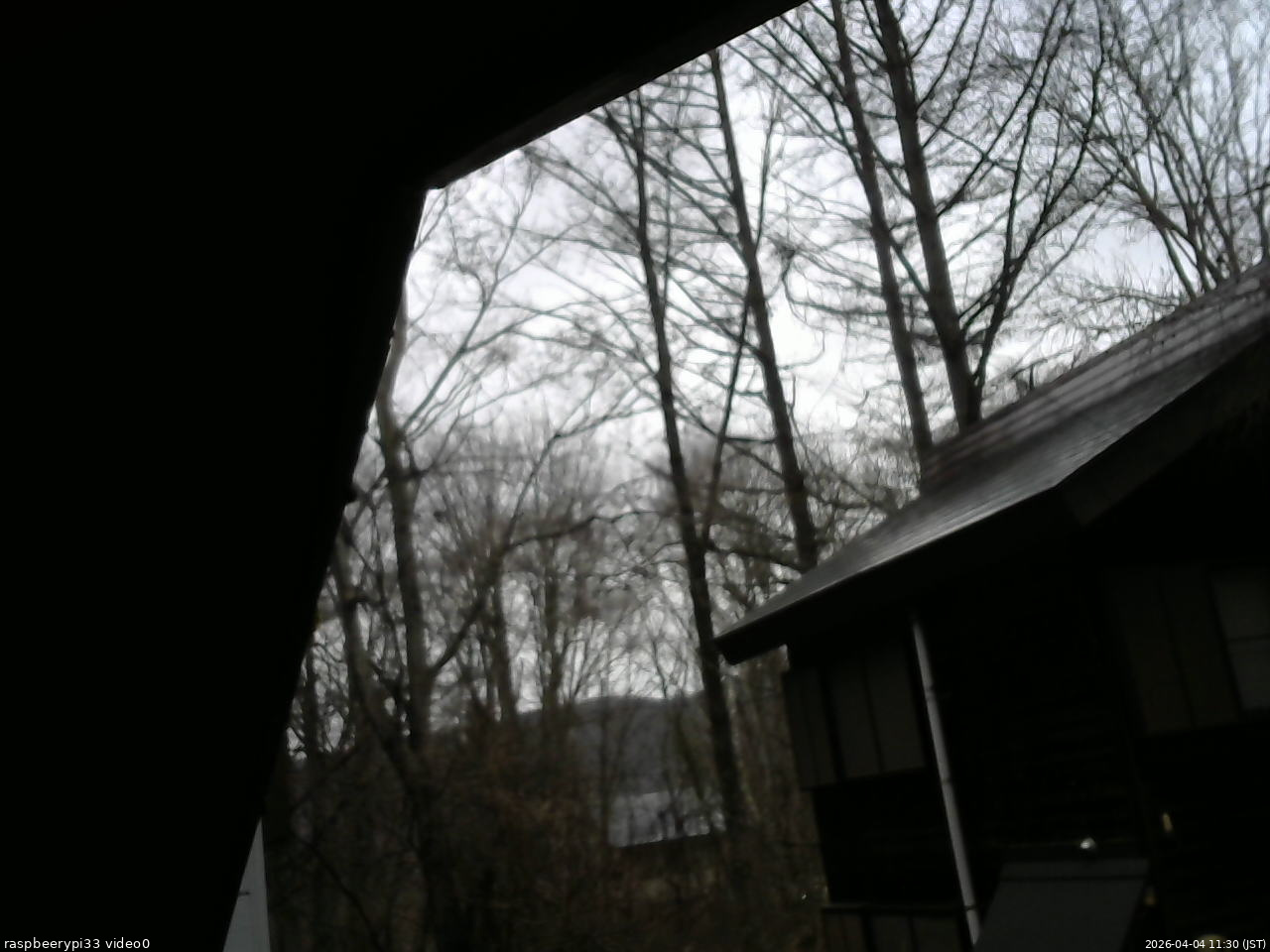 長野県菅平高原 ゆたか山荘 北側 2026/04/04 11:30