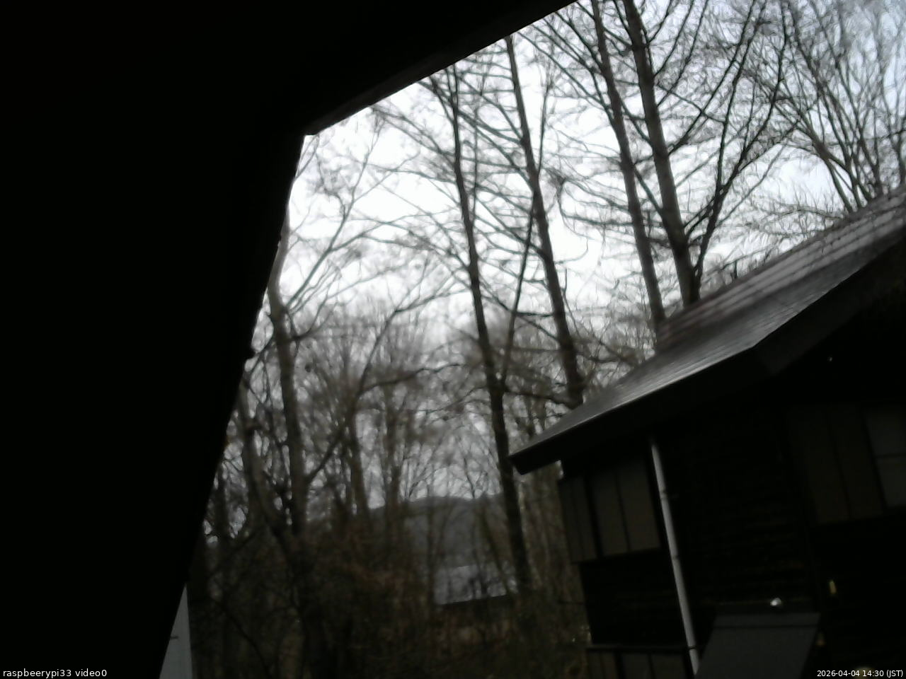 長野県菅平高原 ゆたか山荘 北側 2026/04/04 14:30