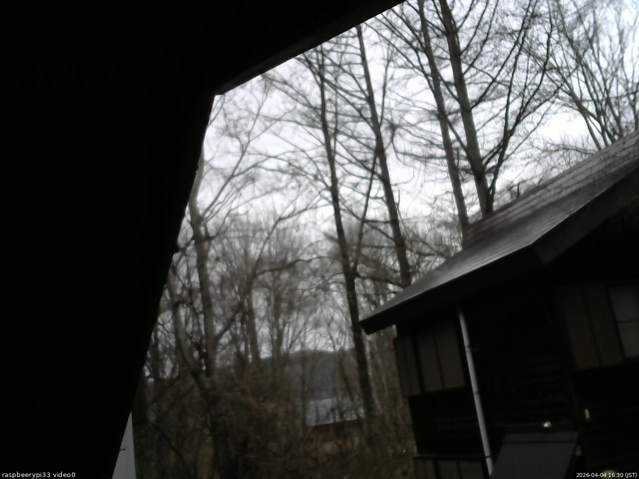 長野県菅平高原 ゆたか山荘 北側 2026/04/04 16:30