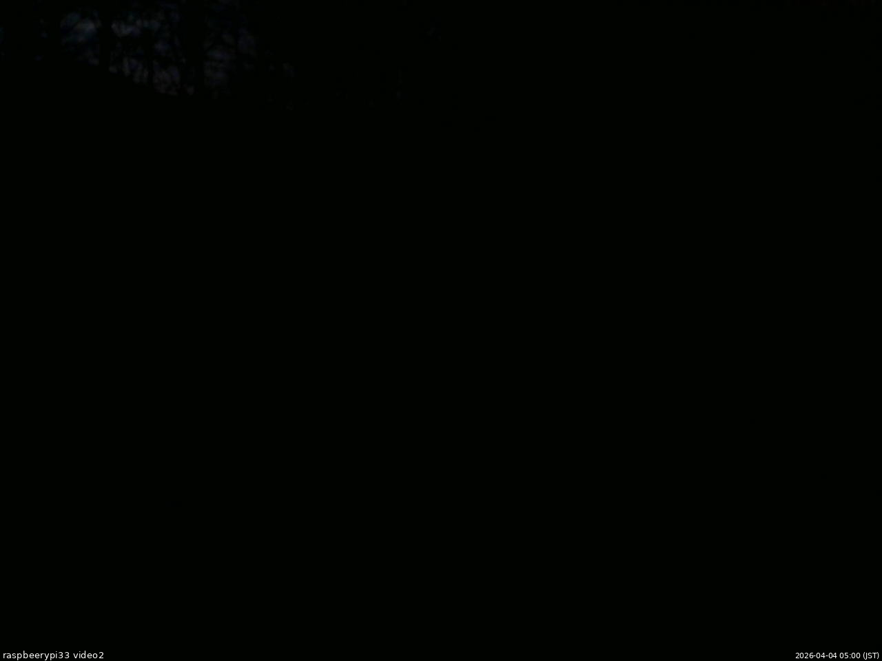 長野県菅平高原 ゆたか山荘 南側 2026/04/04 05:00