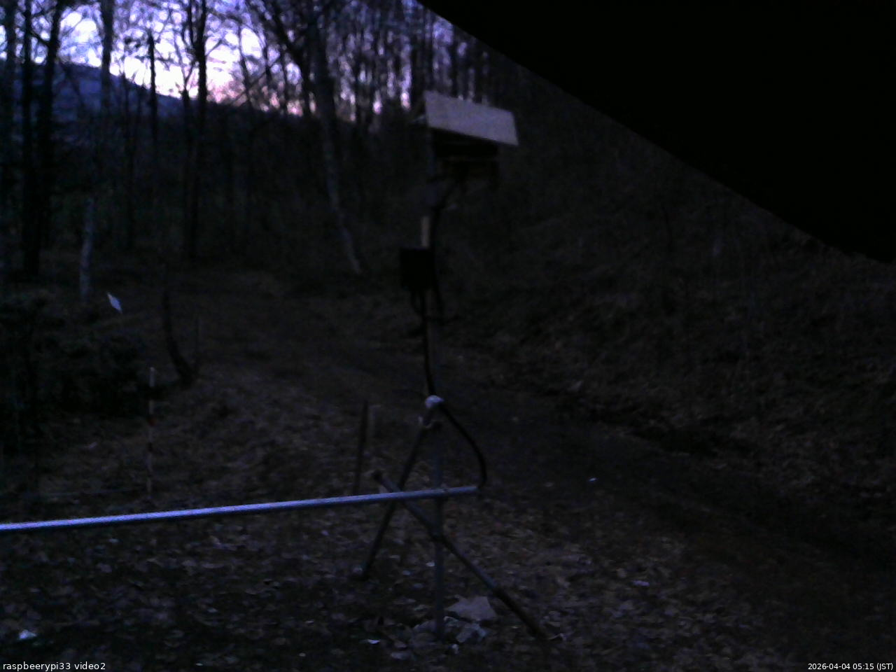 長野県菅平高原 ゆたか山荘 南側 2026/04/04 05:15