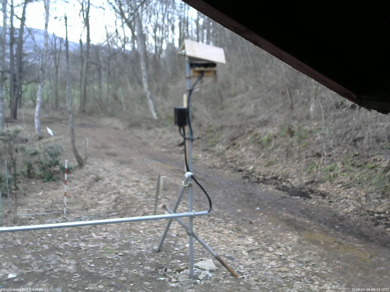 長野県菅平高原 ゆたか山荘 南側 2026/04/04 06:15