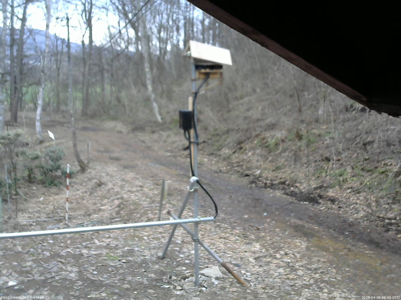長野県菅平高原 ゆたか山荘 南側 2026/04/04 06:45