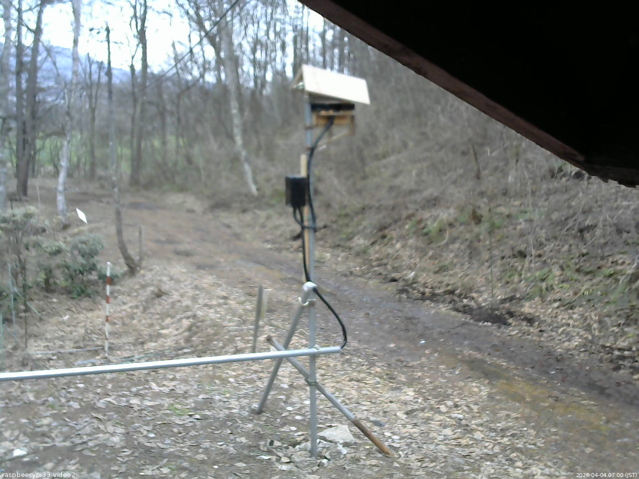 長野県菅平高原 ゆたか山荘 南側 2026/04/04 07:00