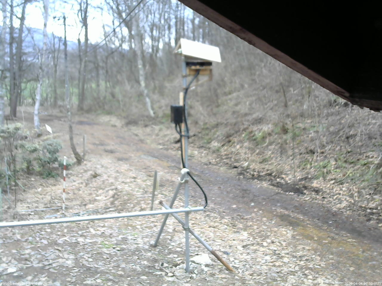 長野県菅平高原 ゆたか山荘 南側 2026/04/04 07:30