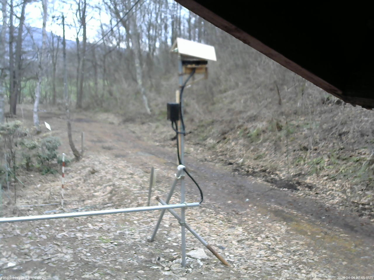 長野県菅平高原 ゆたか山荘 南側 2026/04/04 07:45