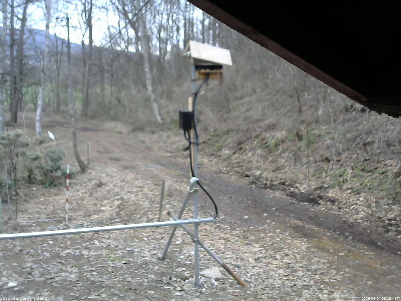 長野県菅平高原 ゆたか山荘 南側 2026/04/04 08:15