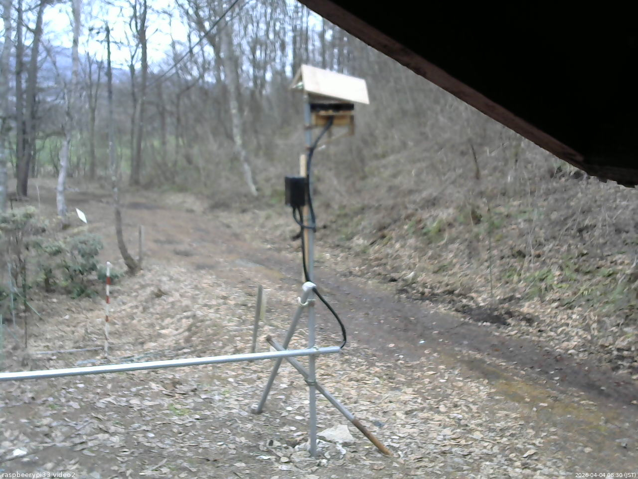 長野県菅平高原 ゆたか山荘 南側 2026/04/04 08:30