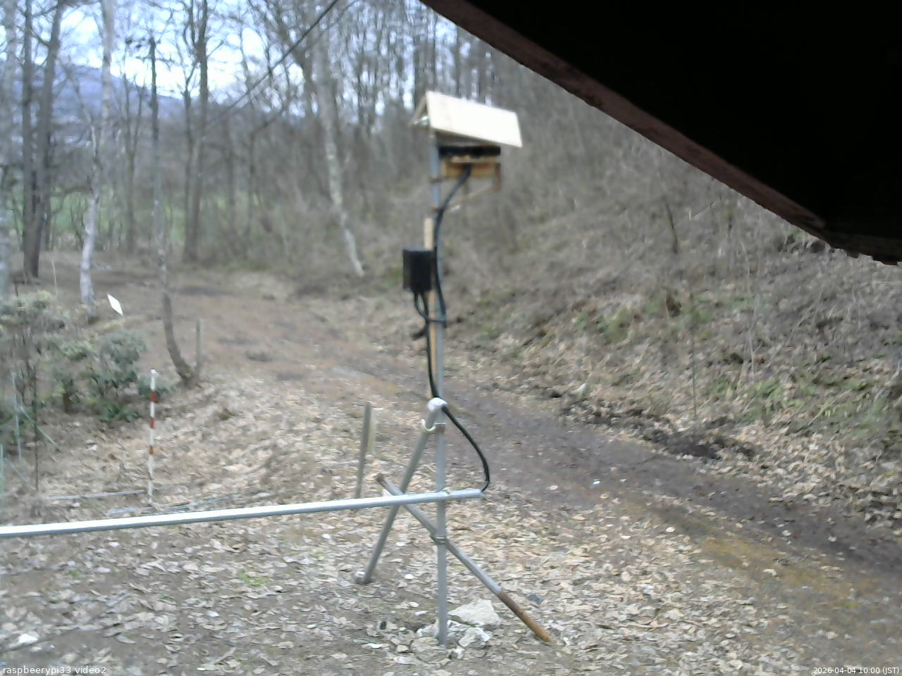 長野県菅平高原 ゆたか山荘 南側 2026/04/04 10:00