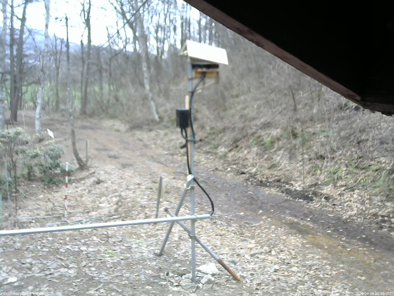 長野県菅平高原 ゆたか山荘 南側 2026/04/04 11:30