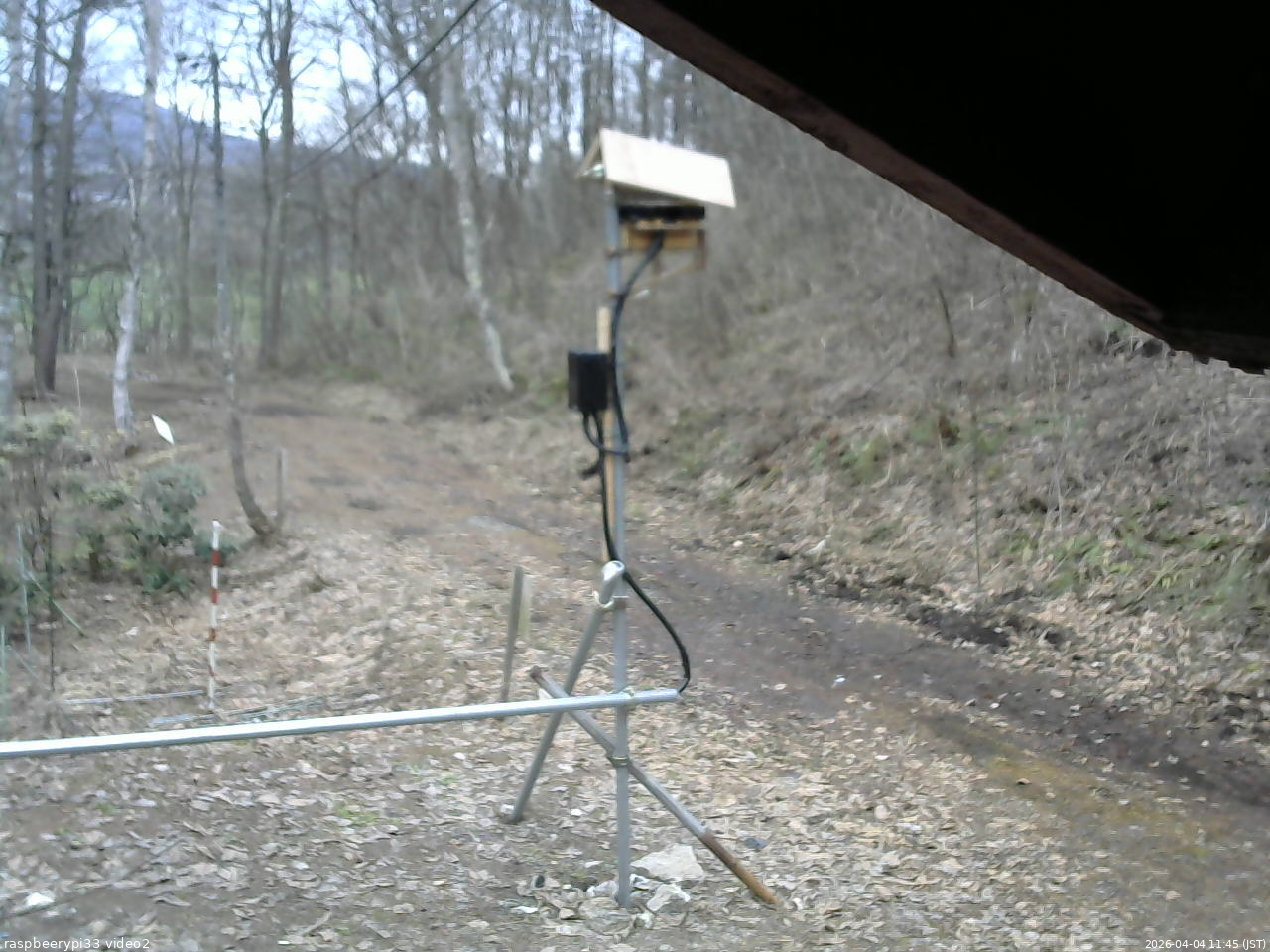 長野県菅平高原 ゆたか山荘 南側 2026/04/04 11:45