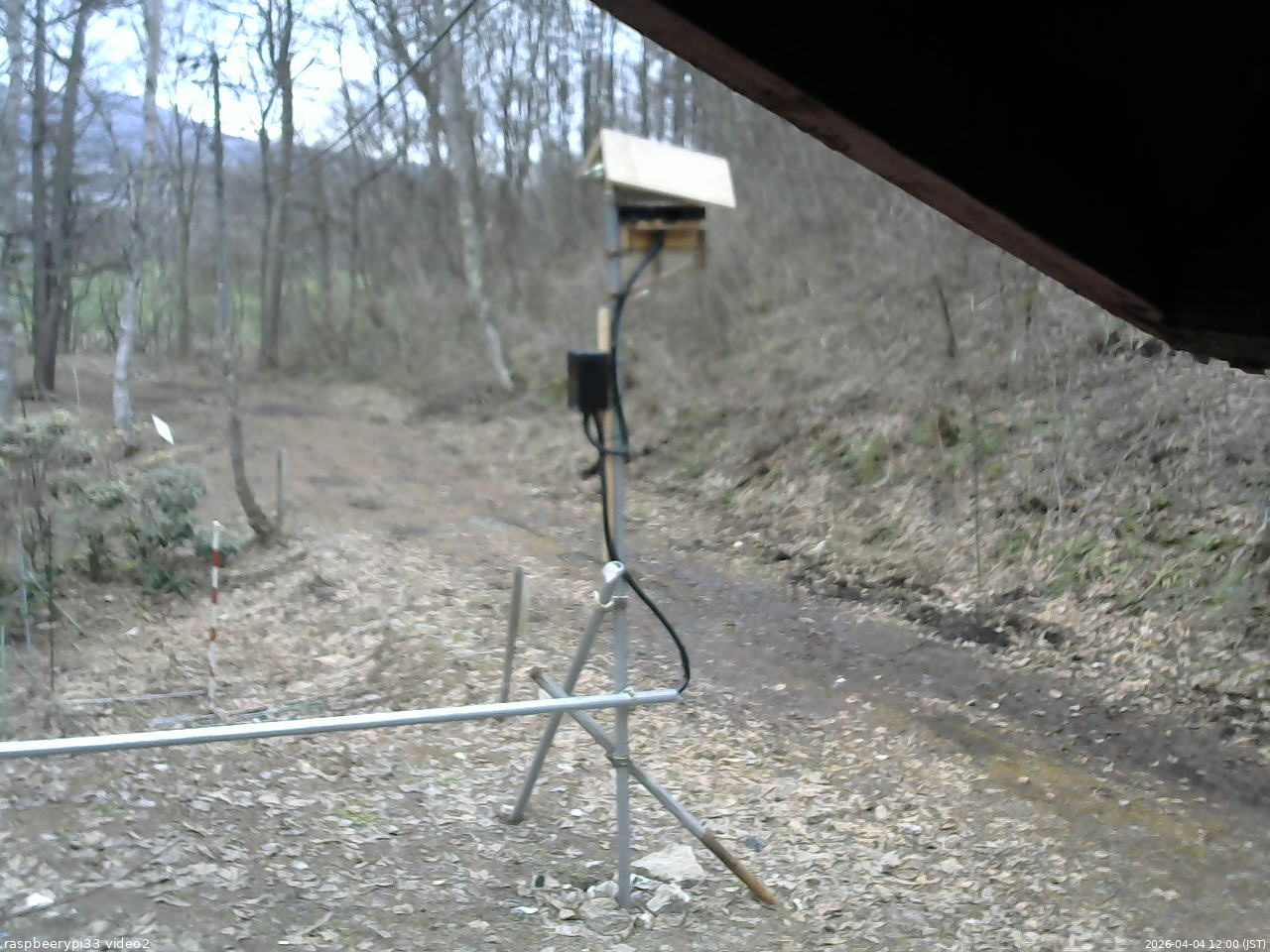 長野県菅平高原 ゆたか山荘 南側 2026/04/04 12:00