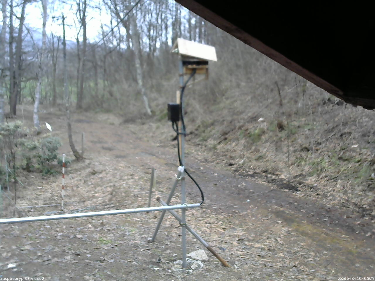 長野県菅平高原 ゆたか山荘 南側 2026/04/04 15:45