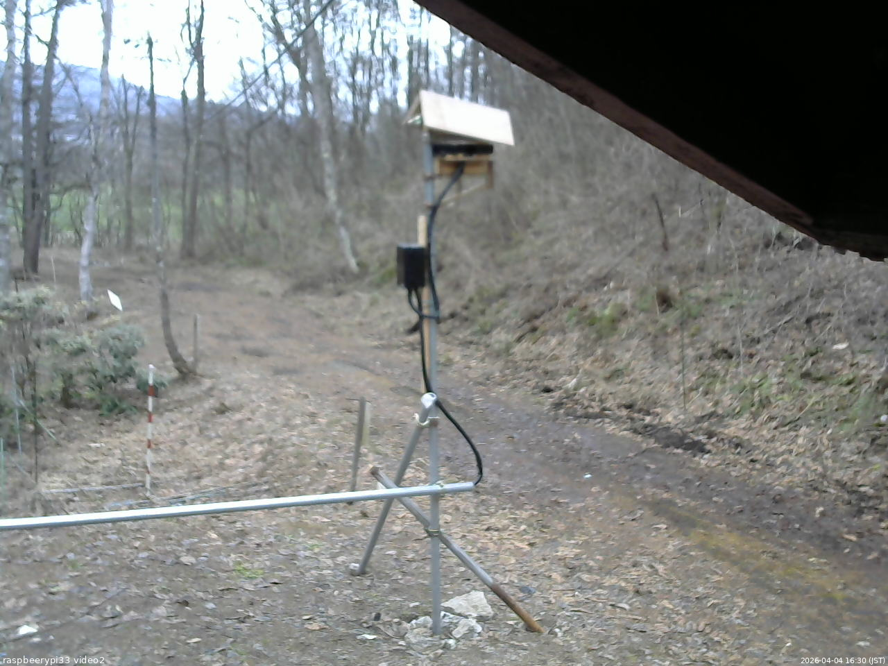 長野県菅平高原 ゆたか山荘 南側 2026/04/04 16:30