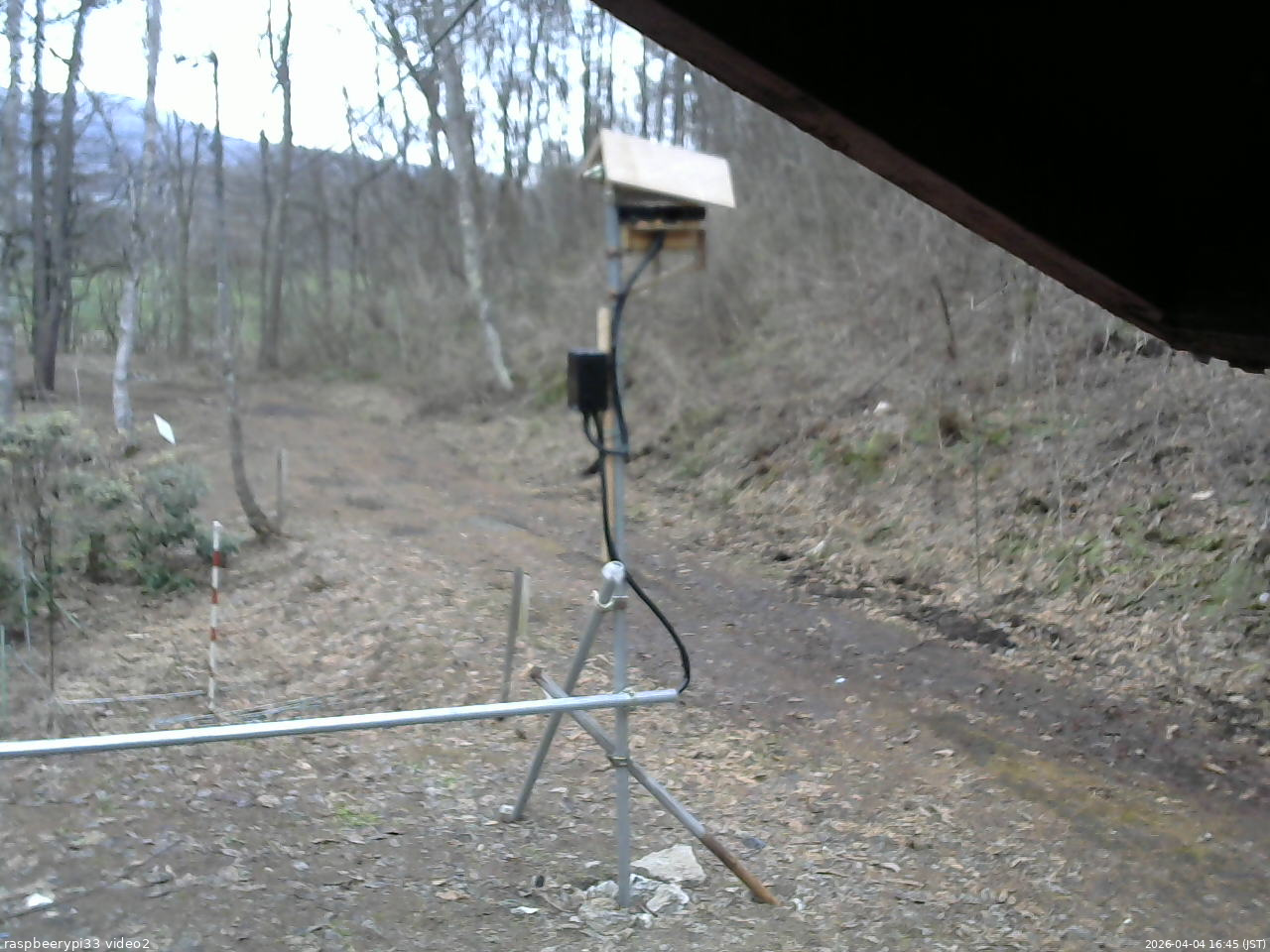 長野県菅平高原 ゆたか山荘 南側 2026/04/04 16:45
