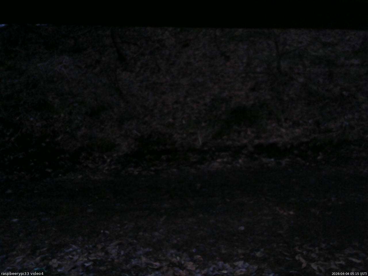 長野県菅平高原 ゆたか山荘 東側(坂下) 2026/04/04 05:15