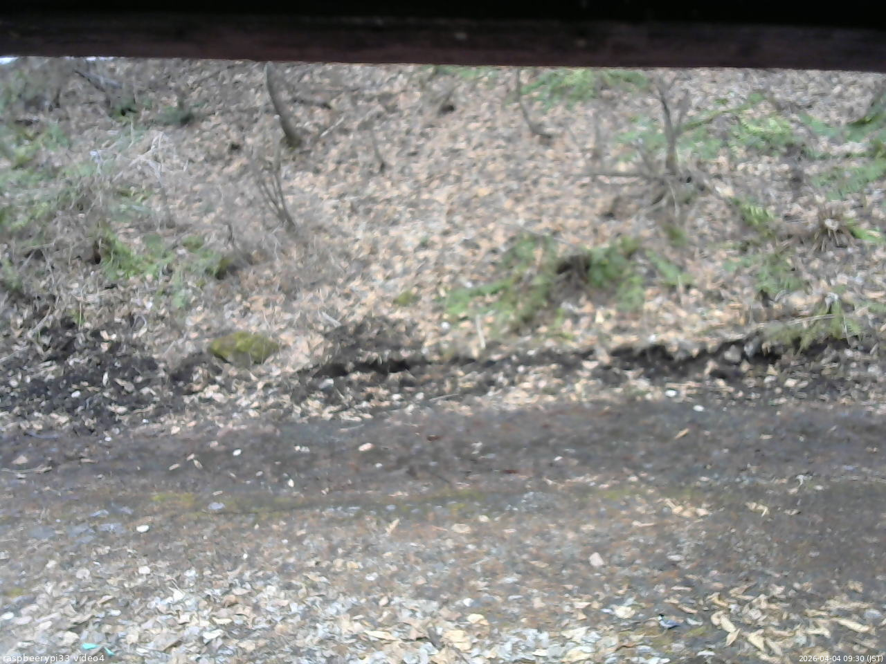 長野県菅平高原 ゆたか山荘 東側(坂下) 2026/04/04 09:30
