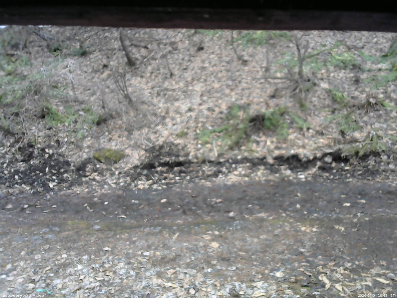 長野県菅平高原 ゆたか山荘 東側(坂下) 2026/04/04 10:45
