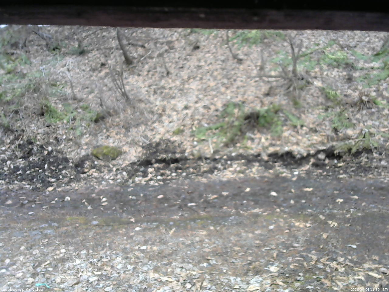 長野県菅平高原 ゆたか山荘 東側(坂下) 2026/04/04 11:30