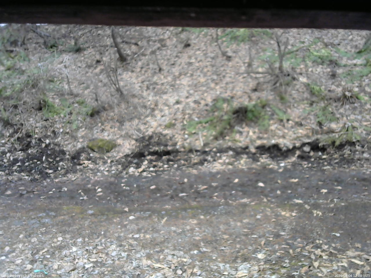 長野県菅平高原 ゆたか山荘 東側(坂下) 2026/04/04 12:00