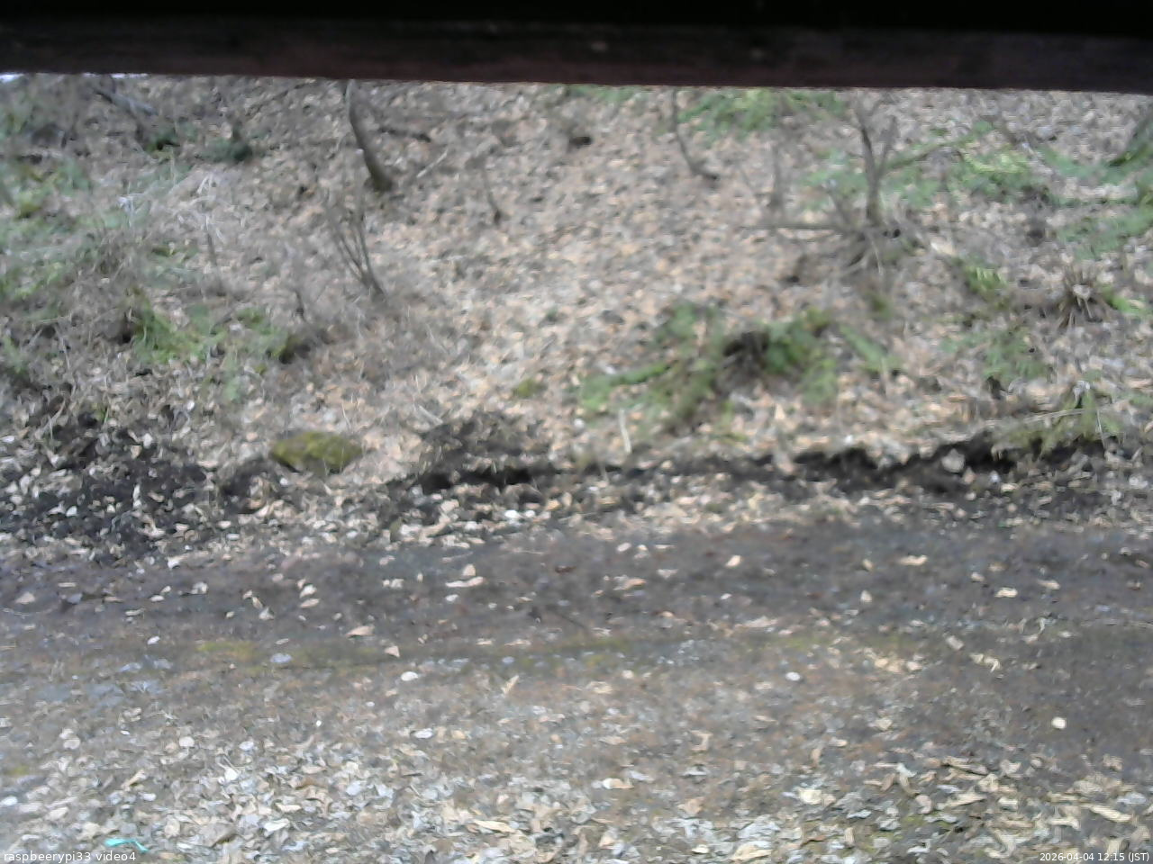 長野県菅平高原 ゆたか山荘 東側(坂下) 2026/04/04 12:15