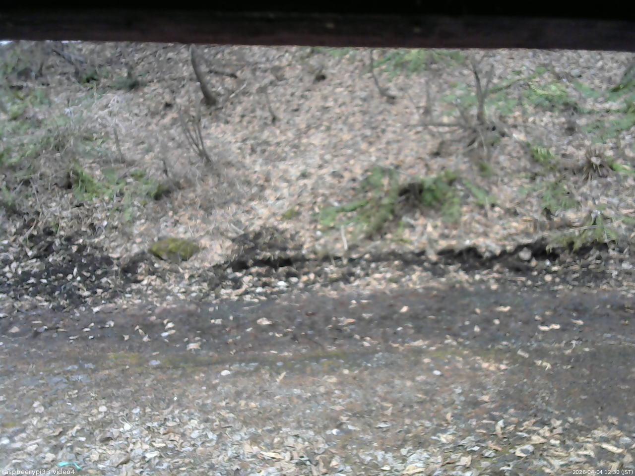 長野県菅平高原 ゆたか山荘 東側(坂下) 2026/04/04 12:30