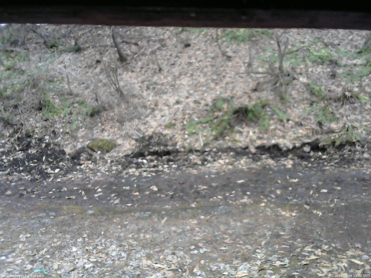 長野県菅平高原 ゆたか山荘 東側(坂下) 2026/04/04 13:00