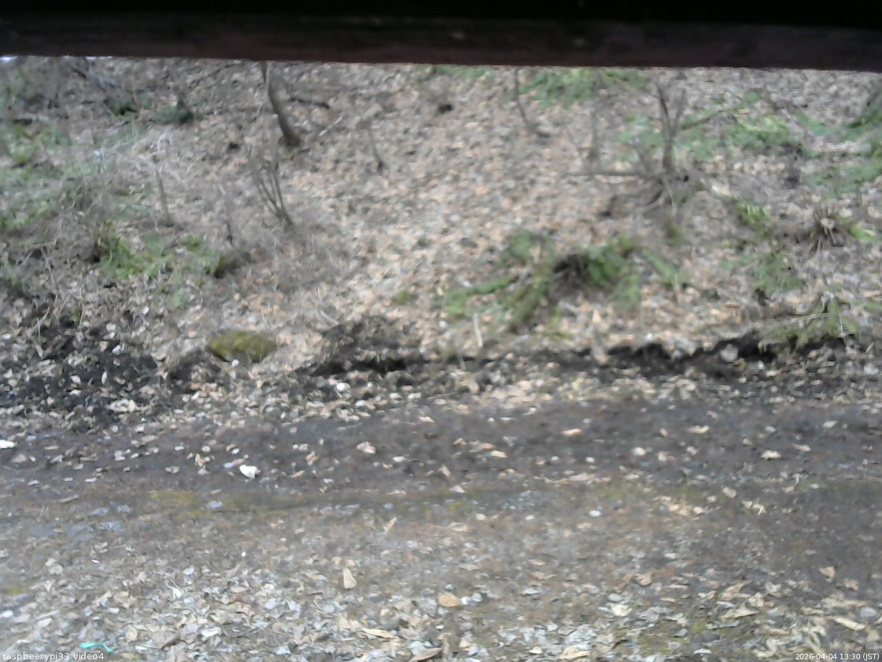 長野県菅平高原 ゆたか山荘 東側(坂下) 2026/04/04 13:30