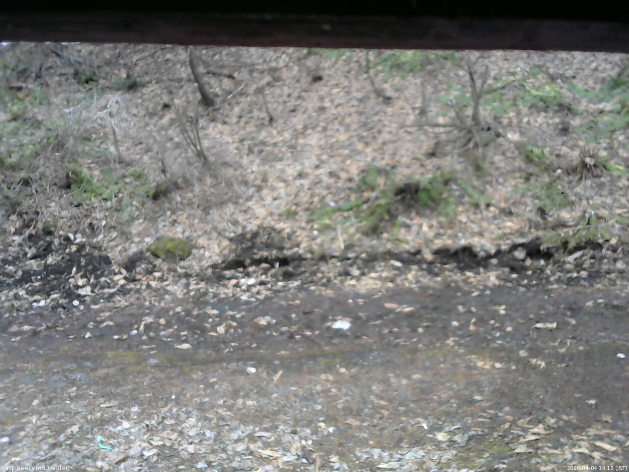 長野県菅平高原 ゆたか山荘 東側(坂下) 2026/04/04 14:15