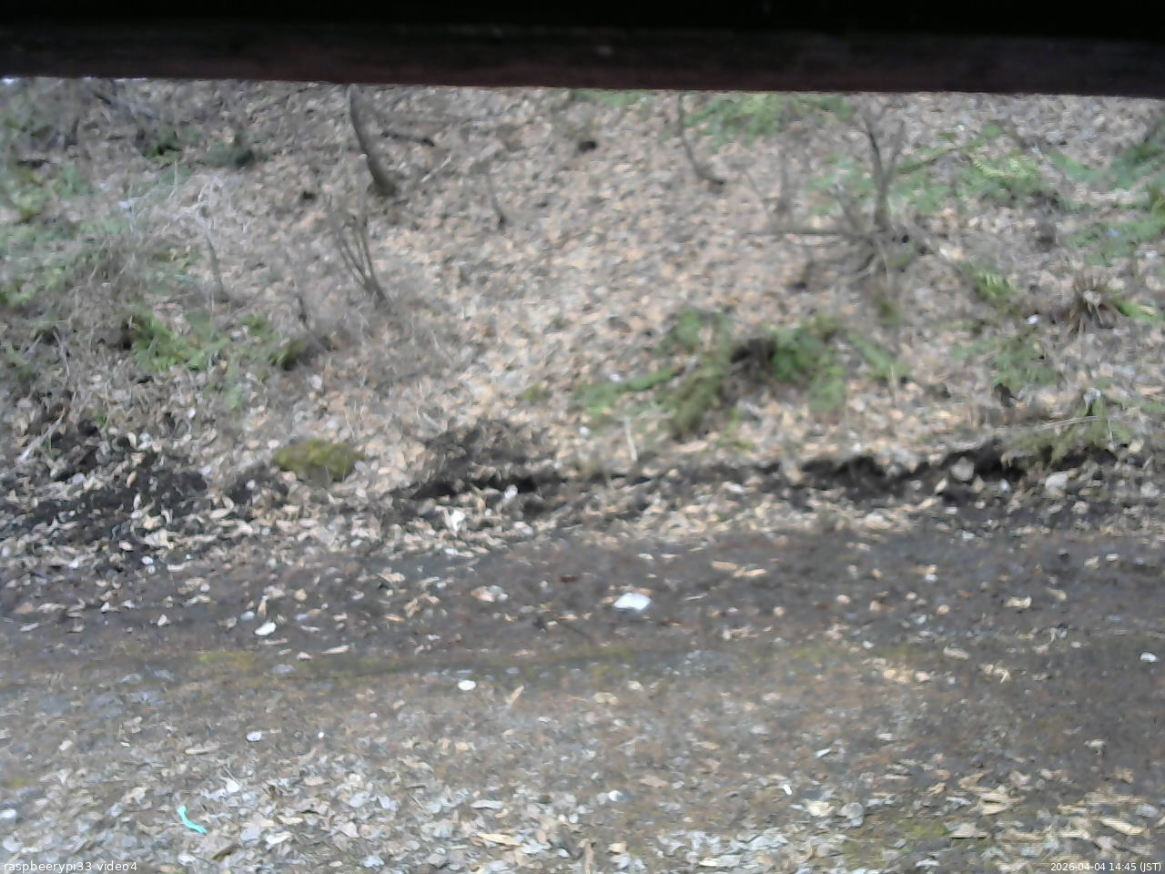 長野県菅平高原 ゆたか山荘 東側(坂下) 2026/04/04 14:45