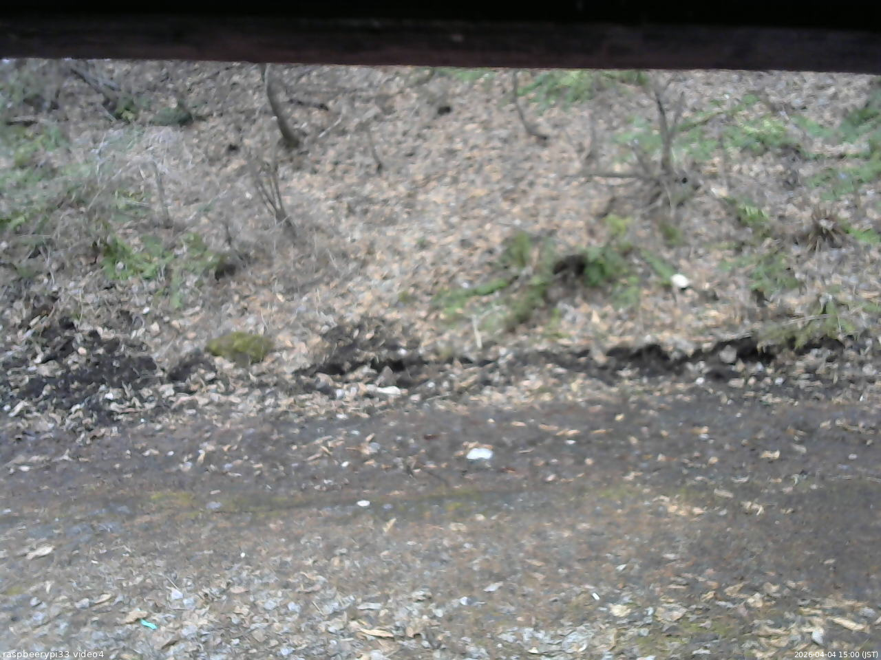 長野県菅平高原 ゆたか山荘 東側(坂下) 2026/04/04 15:00