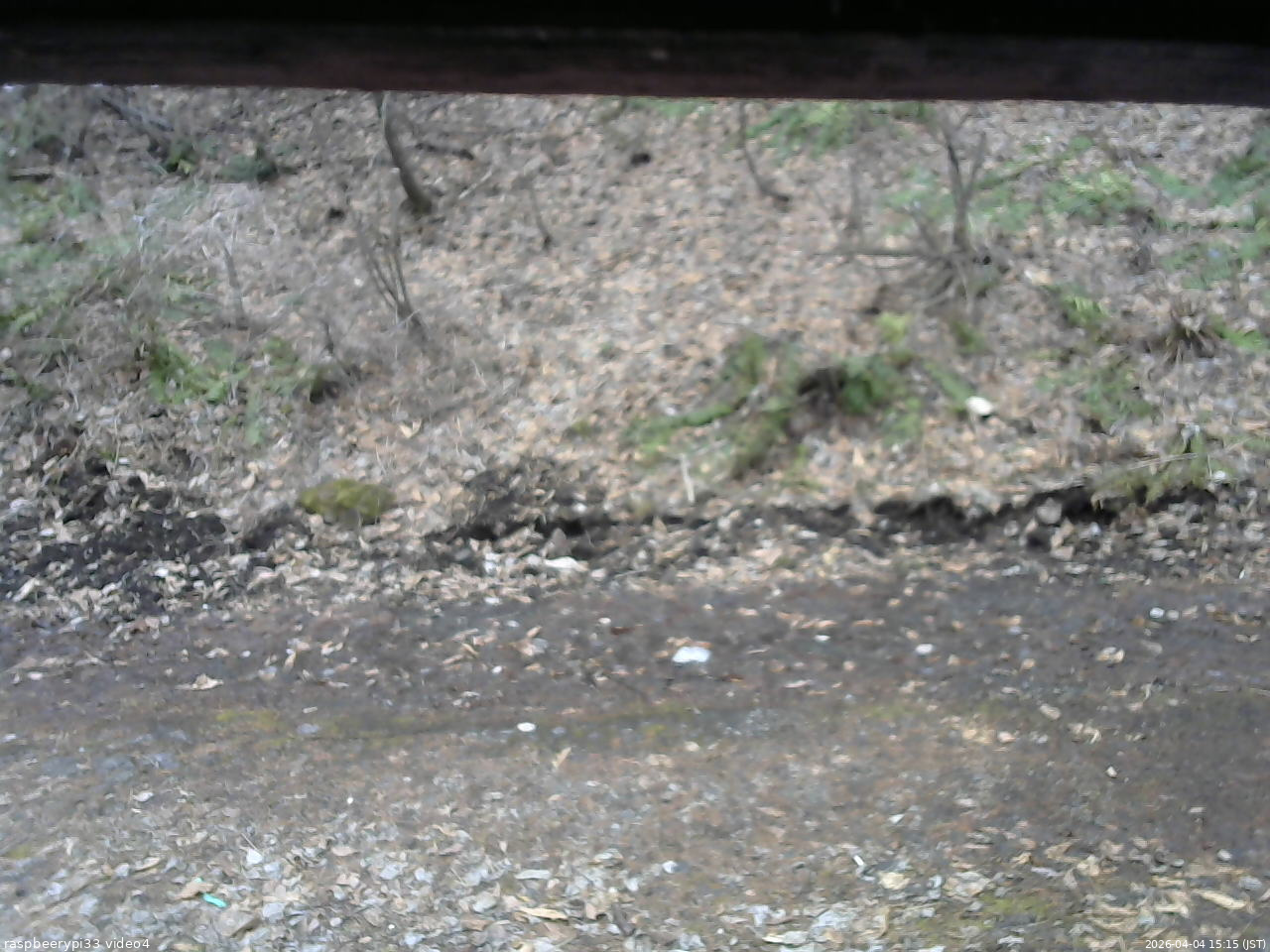 長野県菅平高原 ゆたか山荘 東側(坂下) 2026/04/04 15:15