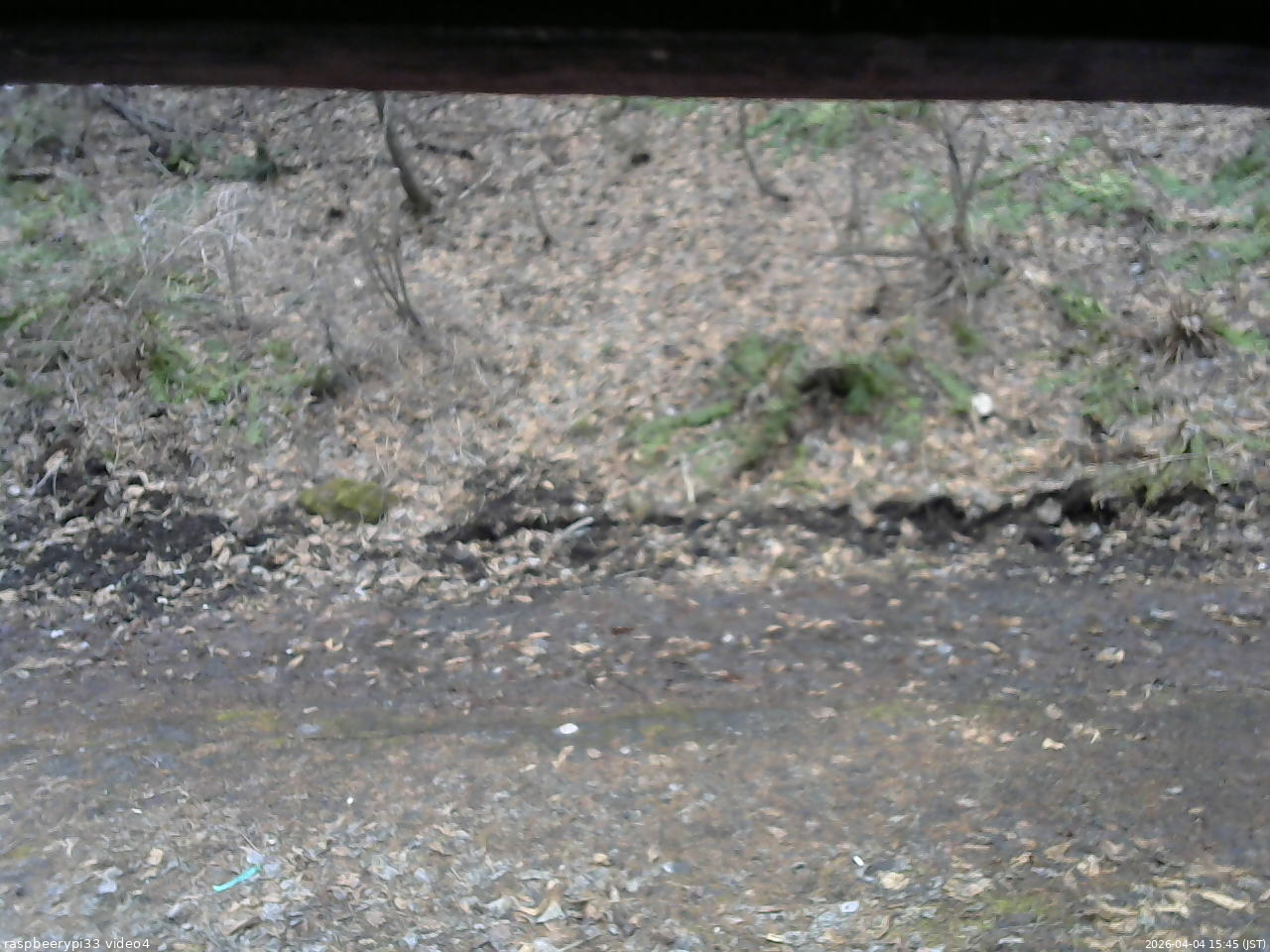 長野県菅平高原 ゆたか山荘 東側(坂下) 2026/04/04 15:45