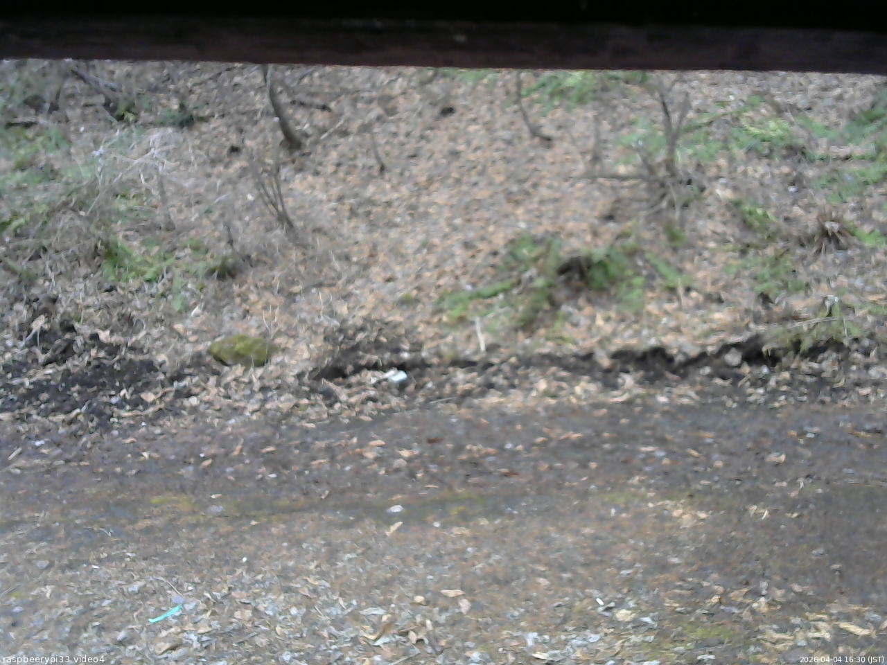 長野県菅平高原 ゆたか山荘 東側(坂下) 2026/04/04 16:30