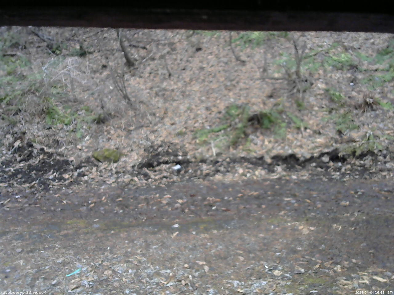 長野県菅平高原 ゆたか山荘 東側(坂下) 2026/04/04 16:45