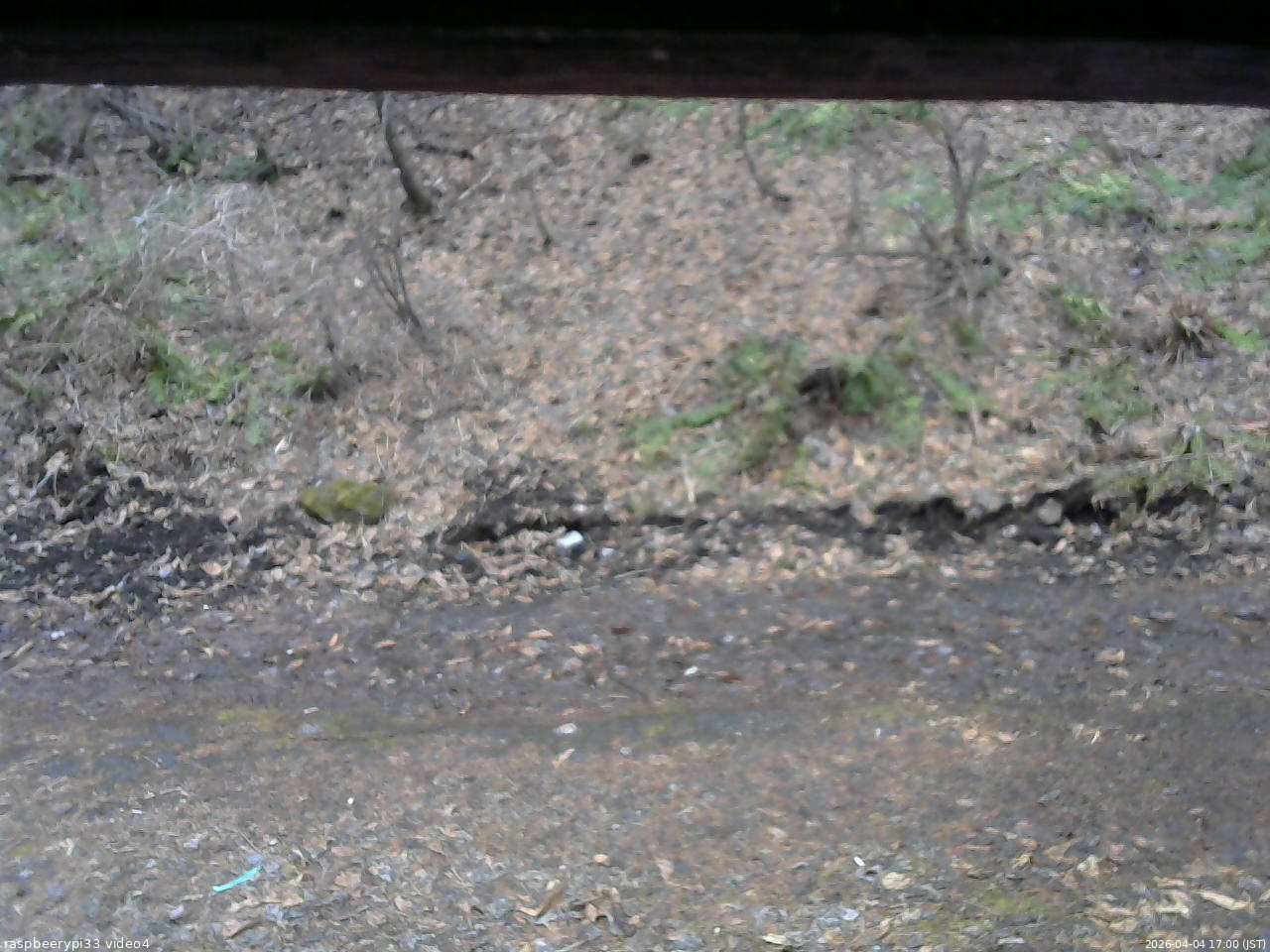 長野県菅平高原 ゆたか山荘 東側(坂下) 2026/04/04 17:00