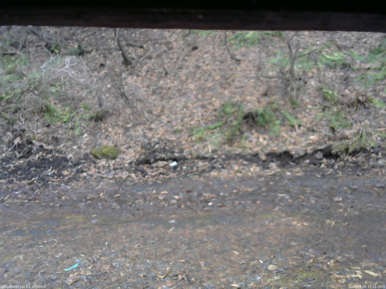 長野県菅平高原 ゆたか山荘 東側(坂下) 2026/04/04 17:15