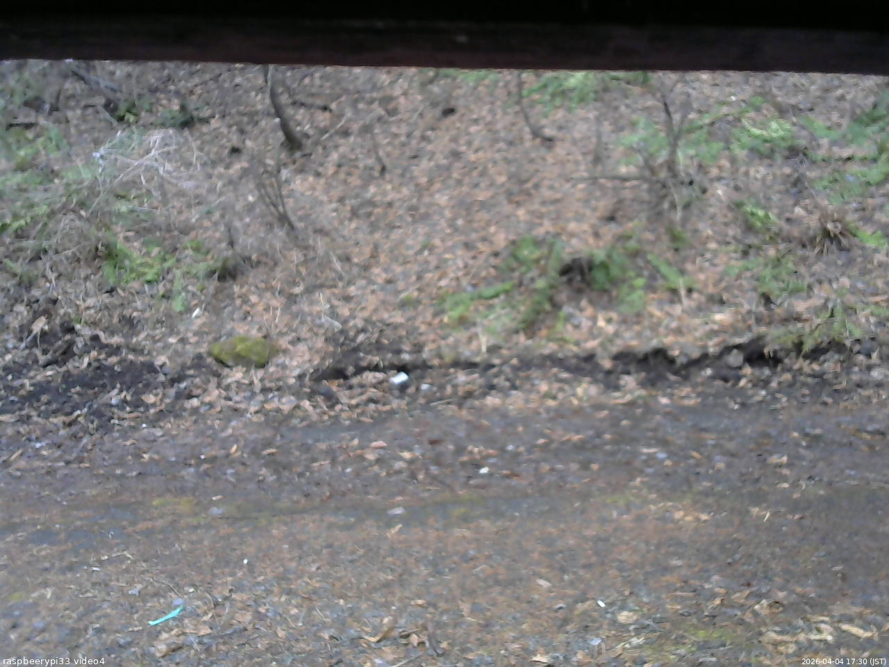長野県菅平高原 ゆたか山荘 東側(坂下) 2026/04/04 17:30
