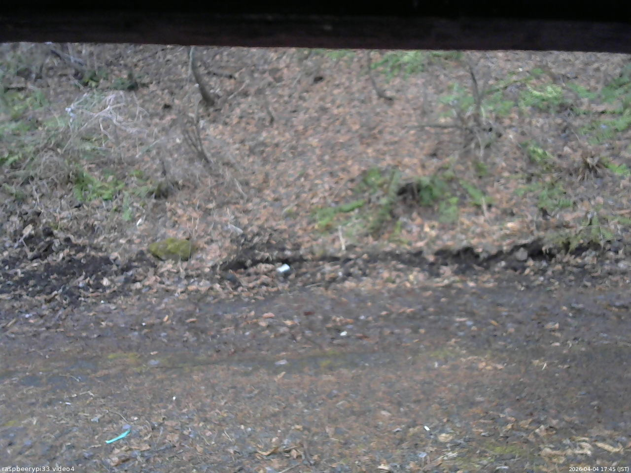 長野県菅平高原 ゆたか山荘 東側(坂下) 2026/04/04 17:45