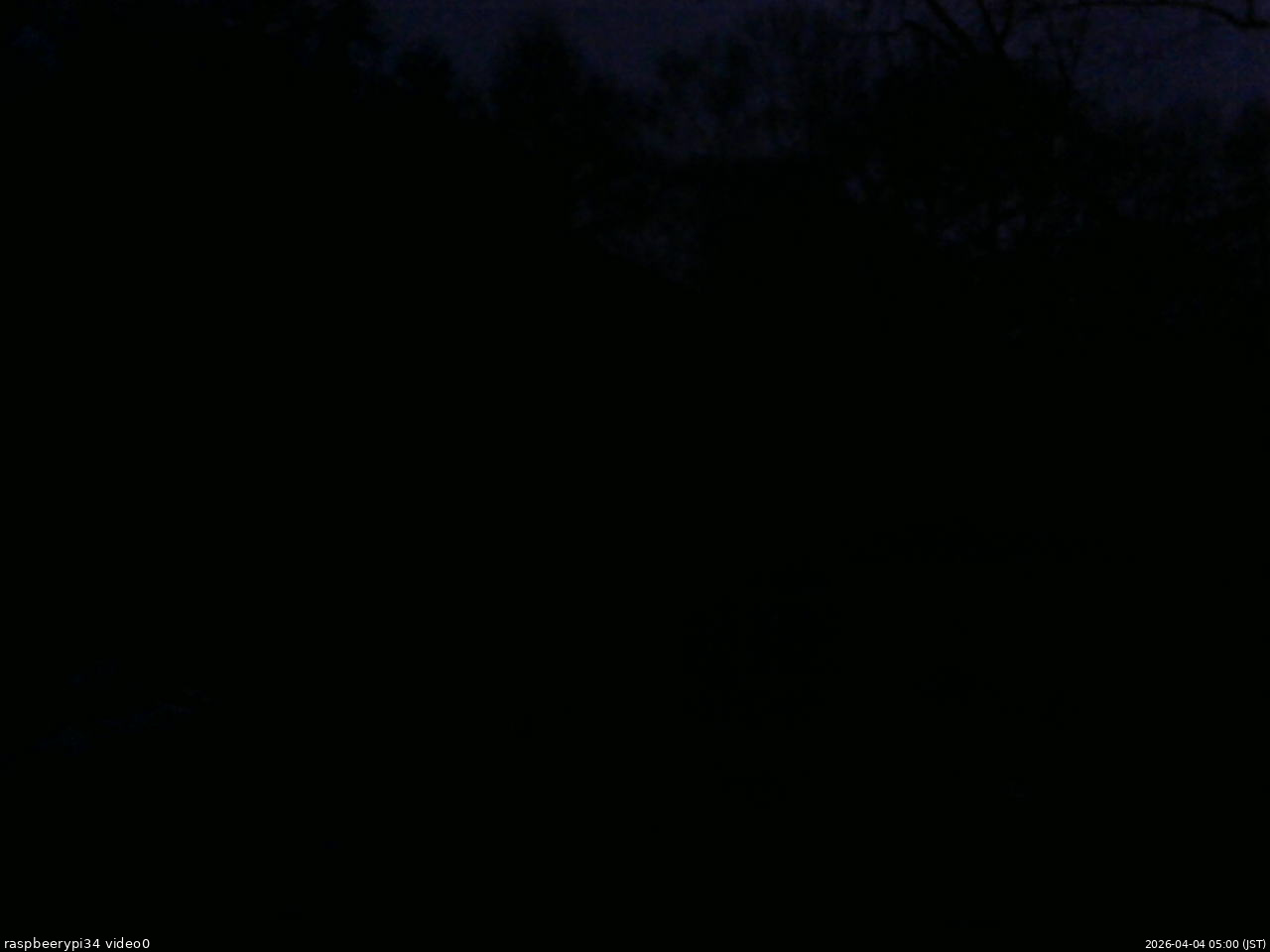 長野県菅平高原 ゆたか山荘 西側(坂上) 2026/04/04 05:00