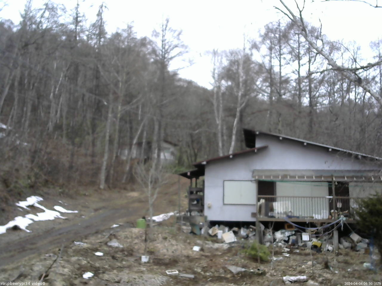 長野県菅平高原 ゆたか山荘 西側(坂上) 2026/04/04 06:30